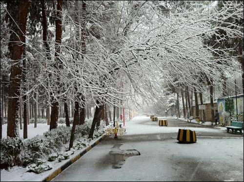 http://img.aftab.cc/news/89/savehsara_saveh_snow_1389.jpg
