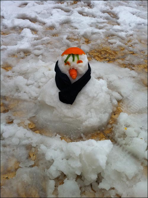 http://img.aftab.cc/news/89/savehsara_saveh_snowman_1389.jpg