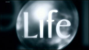 BBC Life 2009
