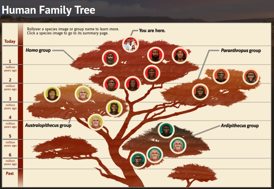 https://img.aftab.cc/news/1401/human_family_tree.jpg