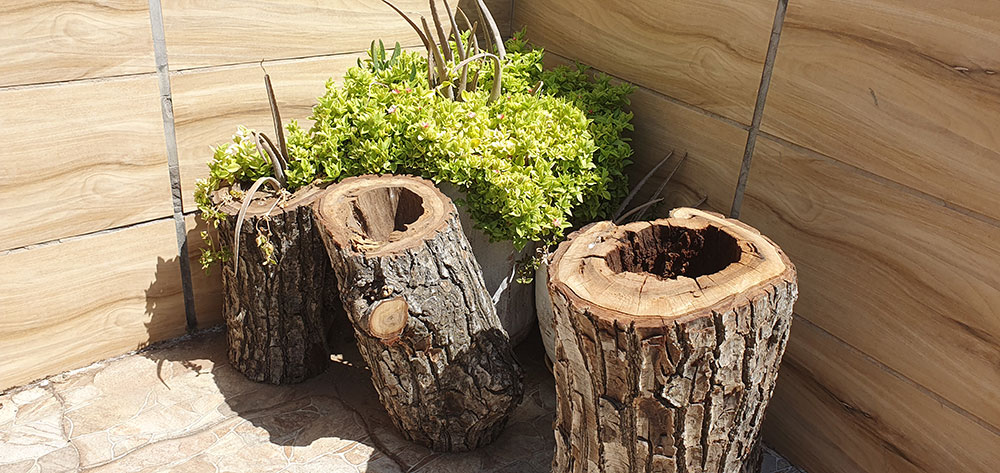 https://img.aftab.cc/news/1405/tree_trunk_1.jpg