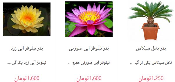 https://img.aftab.cc/news/96/flowers96.jpg
