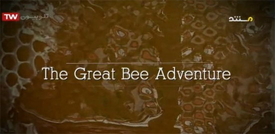 https://img.aftab.cc/news/97/the_great_bee_advanture.jpg